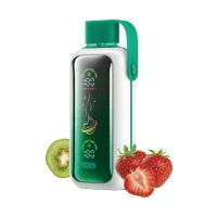 Vozol Star 20000 Strawberry Kiwi