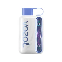Vozol Star 40000 Blueberry Mint